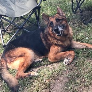 Meet your Posher, Reese